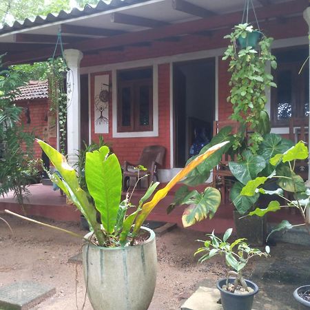 Angry Birds Homestay ハバラナ 部屋 写真